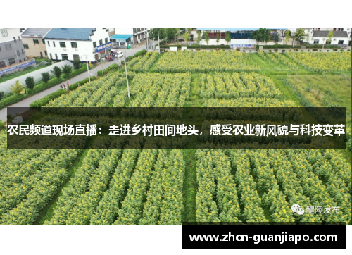农民频道现场直播：走进乡村田间地头，感受农业新风貌与科技变革