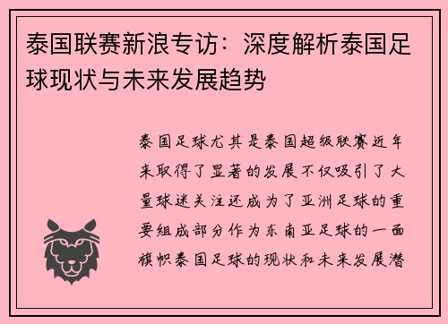 泰国联赛新浪专访：深度解析泰国足球现状与未来发展趋势